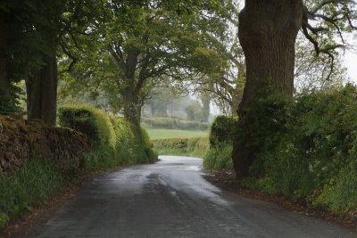 Yorkshire Dales