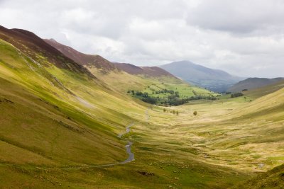 The road to Moss Force (falls)