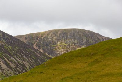 Near Moss Force