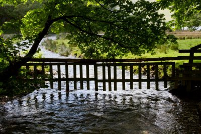 Along footpath to Crummock Water (cattle guard?)