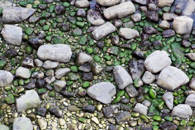 Stones near the base of Lealt Falls