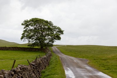 Yorkshire Dales