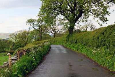 Yorkshire Dales