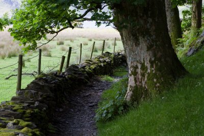 Footpath to Crummock Water