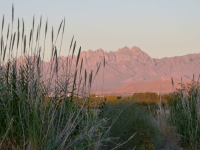 Organ Mts. from near Mesilla, NM