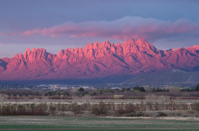 Organ Mountains New Mexico: 2011-13