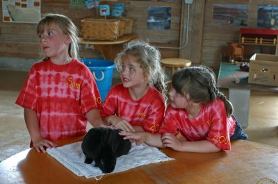 Girls playing with a rabbit on a farm visit, New England, USA