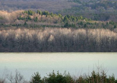 Lake view through the seasons