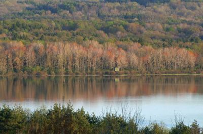 Lake view through the seasons