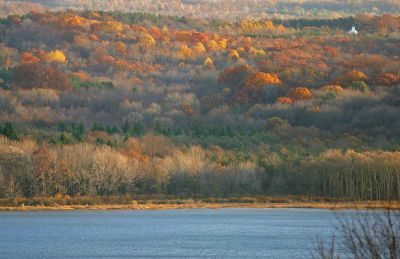 Lake view through the seasons