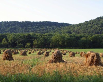 Pennsylvania Countryside 2006-2007