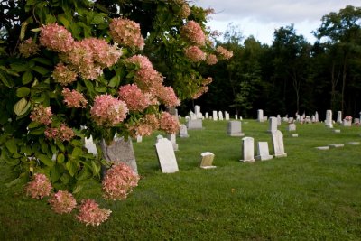 Harmony Cemetery in Penn Run, PA