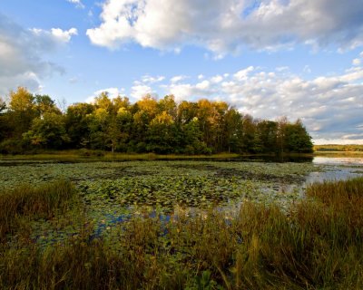 Yellow Creek State Park