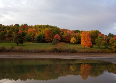 Autumn at Blue Spruce S.P. outside Indiana, PA