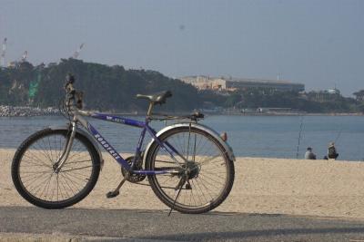CRW_9852-01.jpg