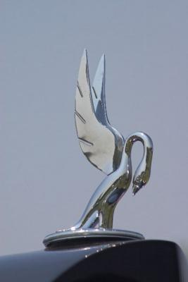 g4/56/157956/3/62179483.O8tyEraI.jpg