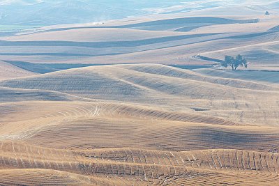 October Palouse 91