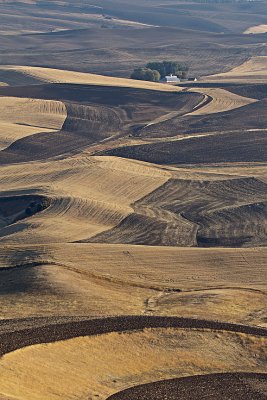 October Palouse 128