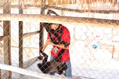monkeys_059.JPG