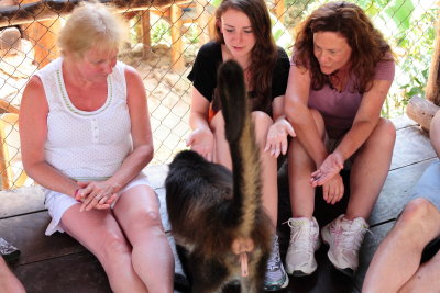 monkeys_065.JPG