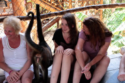 monkeys_066.JPG