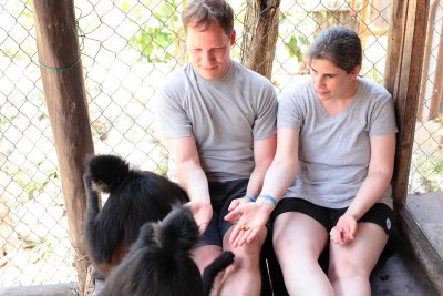 monkeys_073.JPG