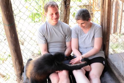 monkeys_075.JPG