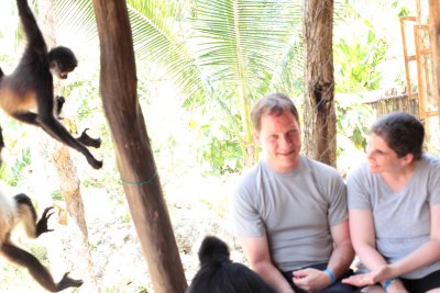monkeys_077.JPG