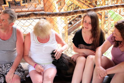 monkeys_081.JPG