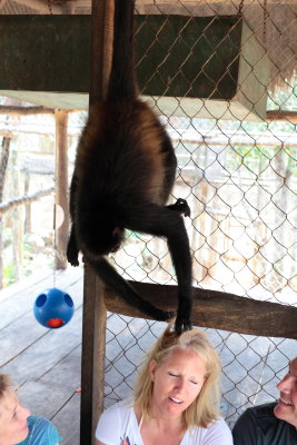 monkeys_088.JPG