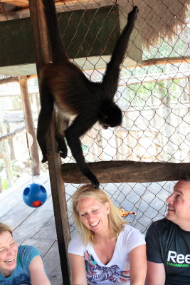 monkeys_089.JPG