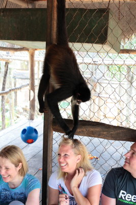 monkeys_090.JPG