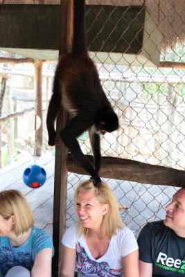 monkeys_092.JPG