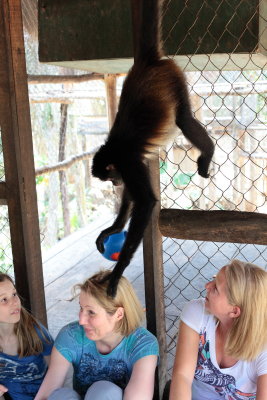 monkeys_095.JPG