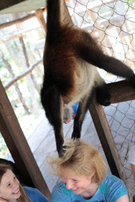 monkeys_096.JPG