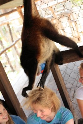 monkeys_097.JPG