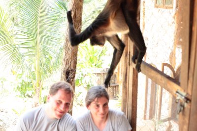 monkeys_099.JPG