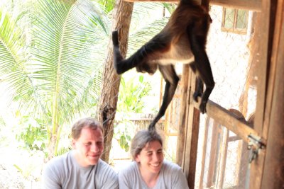 monkeys_101.JPG