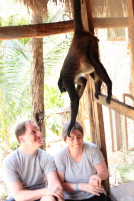 monkeys_102.JPG