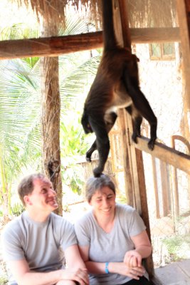 monkeys_103.JPG