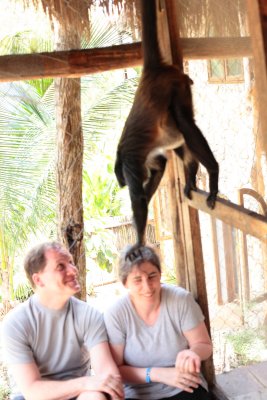 monkeys_104.JPG