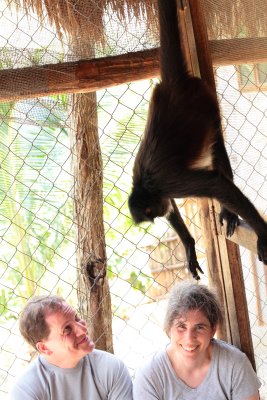 monkeys_108.JPG