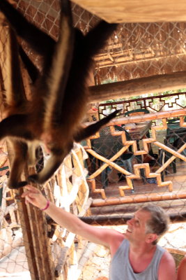 monkeys_111.JPG