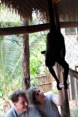 monkeys_113.JPG