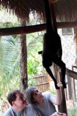 monkeys_114.JPG