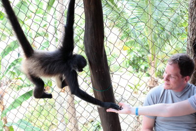 monkeys_115.JPG
