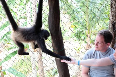 monkeys_116.JPG