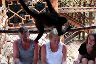 monkeys_119.JPG