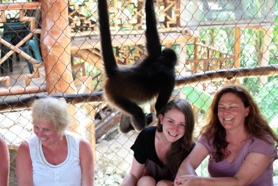 monkeys_124.JPG