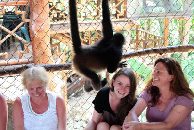 monkeys_125.JPG
